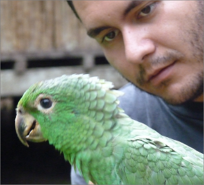 Cuate with a Mealy Parrot