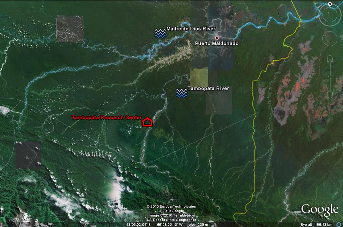 TRC at the Tambopata River in Madre de Dios Region