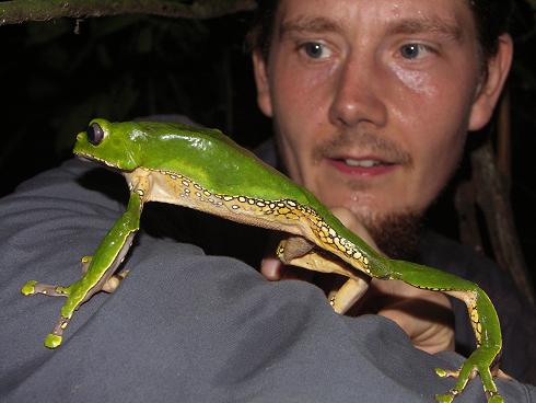 Rafal with a Monkey frog (Phylomedusa bicolor)