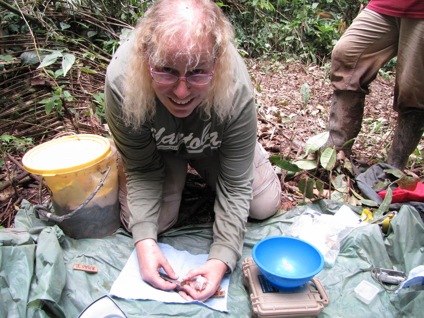 Tanja is measuring a macaw chick
