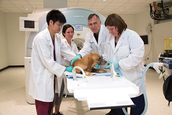 From left: Dr. Jack Guo; Rachel Johnson, TIPS imaging technologist; Dr. Joe Kornegay; and Mandy Bettis, Veterinary Technician