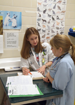 Dr. Corinne Fabrick (foreground), First-year resident Dr. Corinne Fabrick (foreground), First-year resident