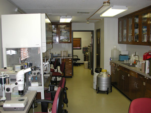Equine Embryo Lab Equine Embryo Lab