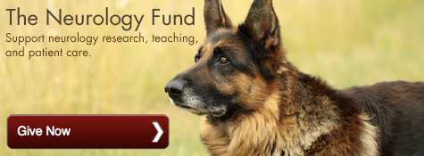 Give to The Neurology Fund now! Give to The Neurology Fund now!