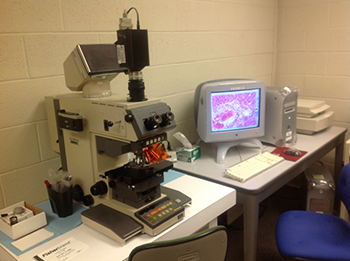 Olympus VANOX AH2 Microscope Olympus VANOX AH2 Microscope