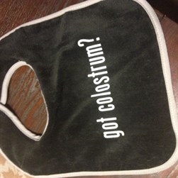 SFT_Bib SFT_Bib