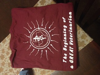 SFT_SEMaroon SFT_SEMaroon