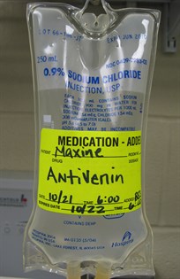 Antivenom Antivenom