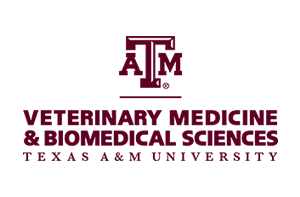 Texas A&M Veterinary Medical Center (TVMC) - Texas A&M Veterinary