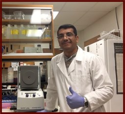 LabPhoto_Amer LabPhoto_Amer