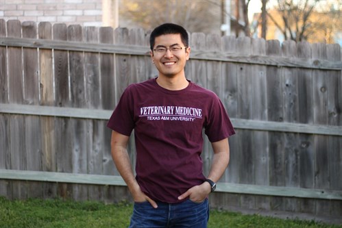 ShortSleeve ShortSleeve