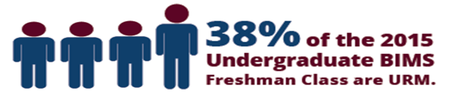 38% of the 2015 Undergraduate BIMS Freshman Class are URM