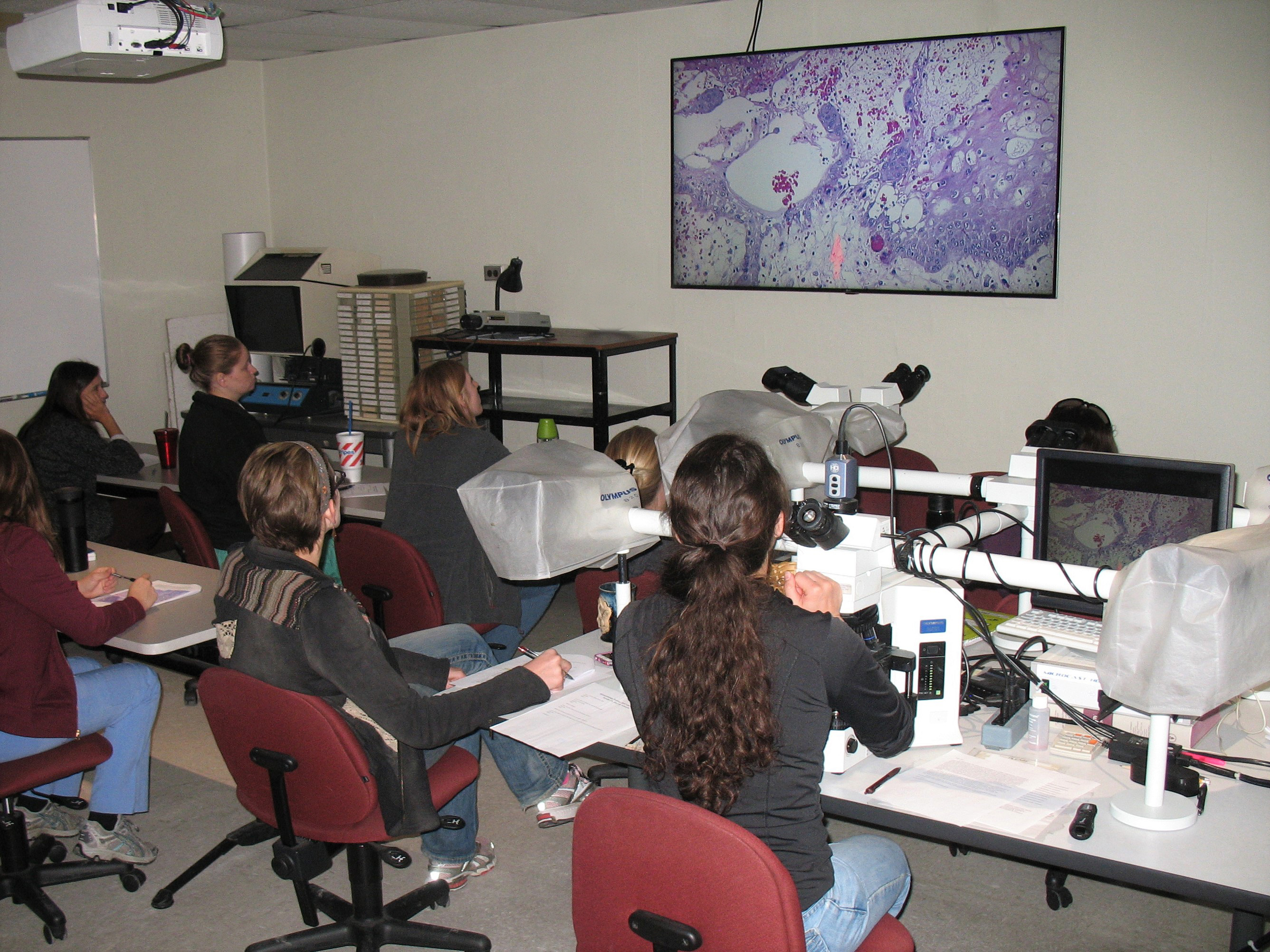 vtpb_residencies_pathology_classroom vtpb_residencies_pathology_classroom