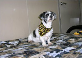 Daisy M.