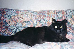 Zoe