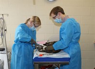 trials_procedure trials_procedure