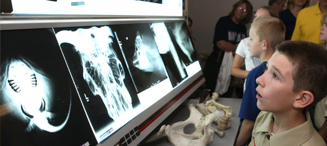 slideshowradiology slideshowradiology