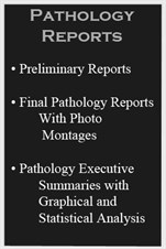 Reports Reports