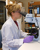 Bone marrow isolation Bone marrow isolation