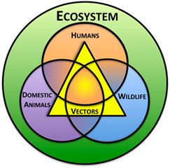 ConceptualModel ConceptualModel