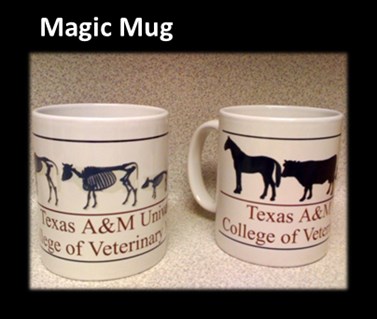 sheltermugs sheltermugs