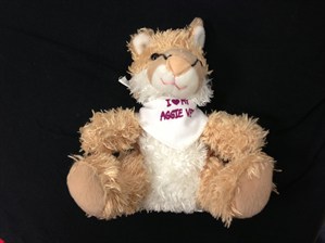 cougar cougar