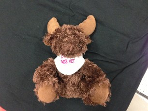 moose moose