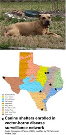 ShelterDogMap ShelterDogMap