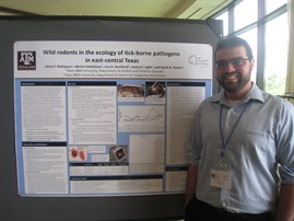 IMG_3923 IMG_3923