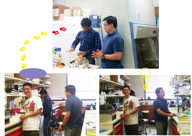 lab co2 lab co2