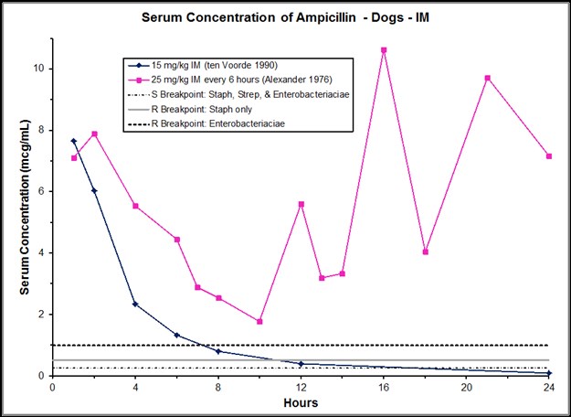 Ampicillin iv to po - Disulfiram and drinking alcohol Ampicillin iv to po - Disulfiram and drinking alcohol