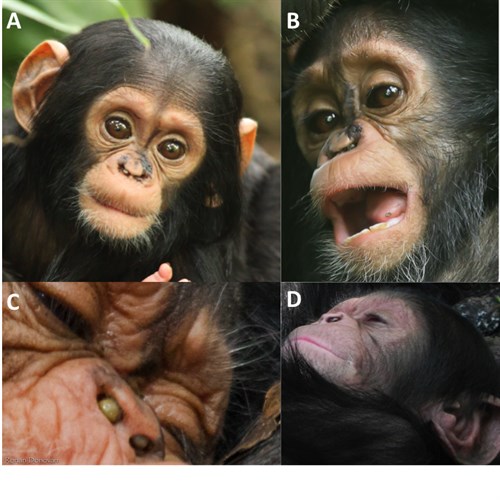 Figure1 Figure1