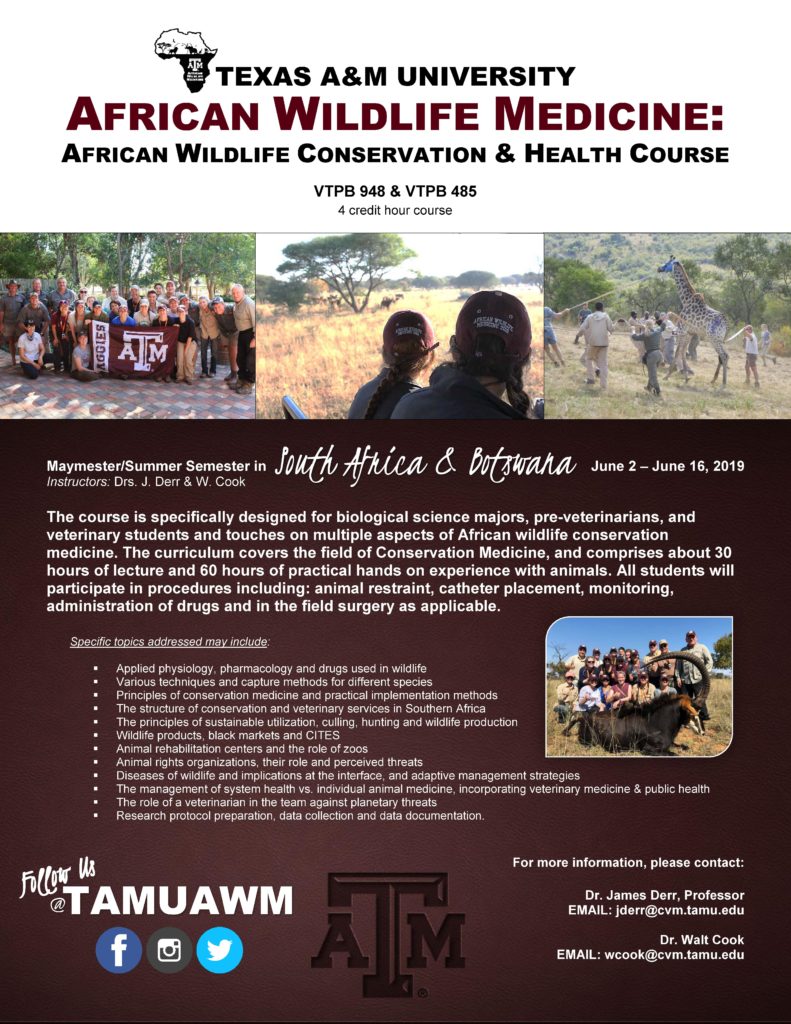 Texas A&M University African Wildlife Medicine Study Abroad Course Flyer