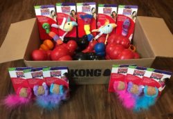 multiple kong products for dogs and cats in a Kong box