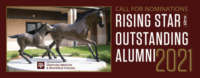 One and One-Half Power horses statue with CVMBS logo and call for nominations Rising Star & Outstanding Alumni 2021