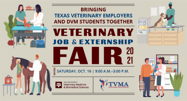 Veterinary Job & Externship Fair 2021 identity graphic with cartoons of 4 veterinarians working with 4 different animals and owners