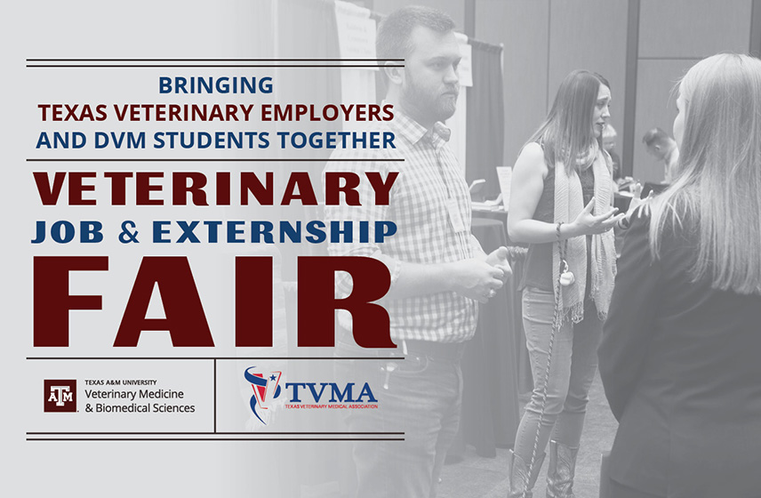 Bringing Texas Veterinary Employers and DVM Students Together | VMBS/TVMA Annual Veterinary Job & Externship Fair