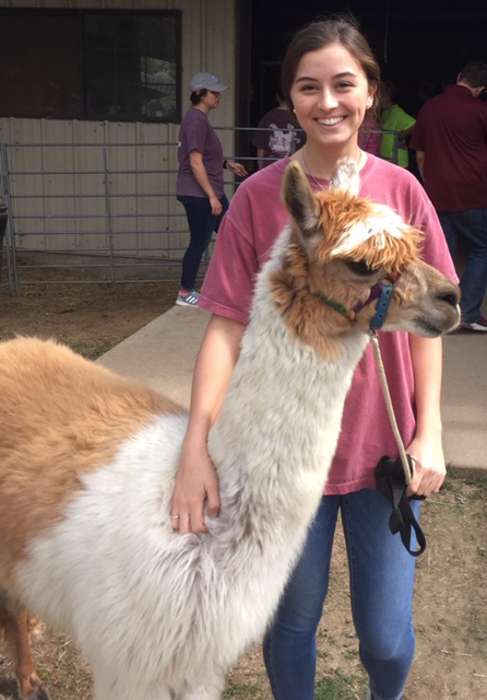 Madelaine and an alpaca at a Pre-Vet Society event