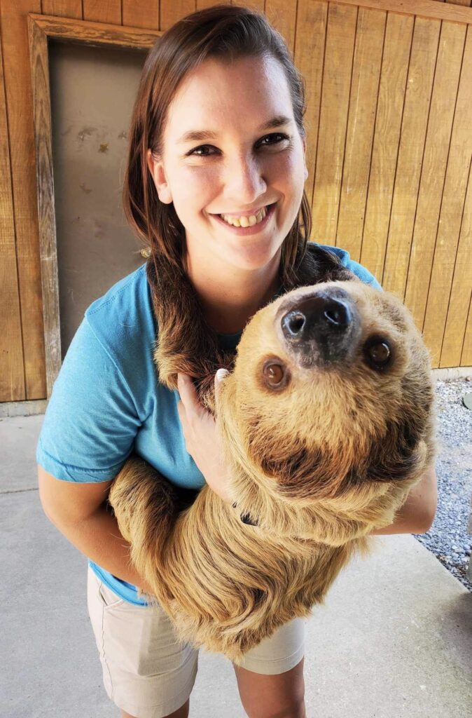A young woman in a blue shirt holding a two-toed sloth.