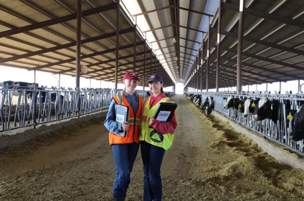 Kara stands with another female student in the aisle of a dairy feeding barn.