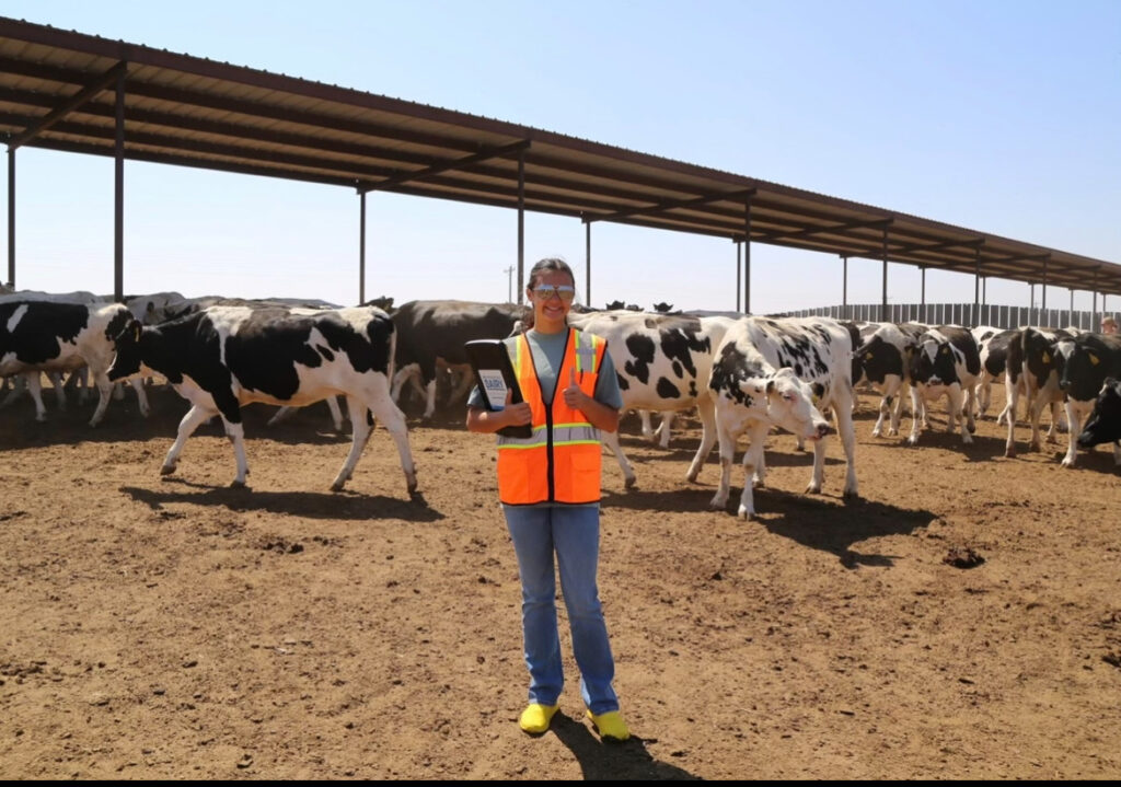 Kara stands, giving a thumbs up, in a pen with dairy cows in the background