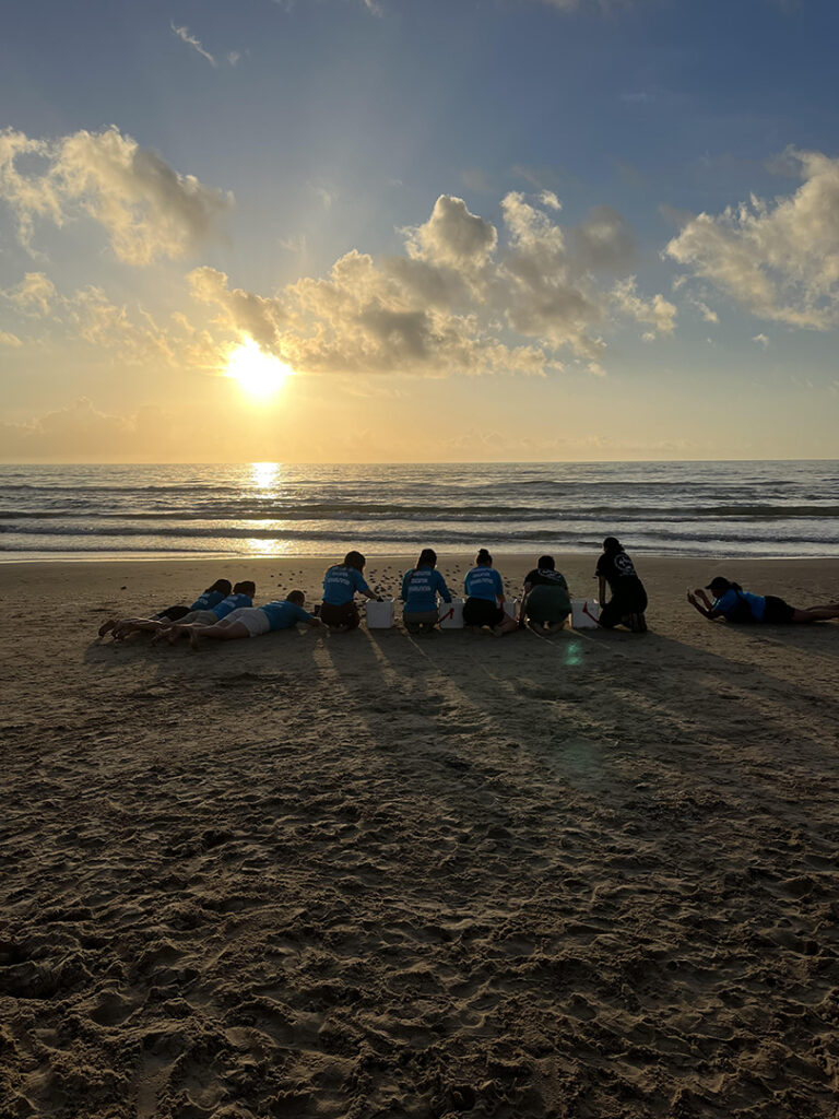 Anna and fellow volunteers release sea turtle hatchlings into the ocean