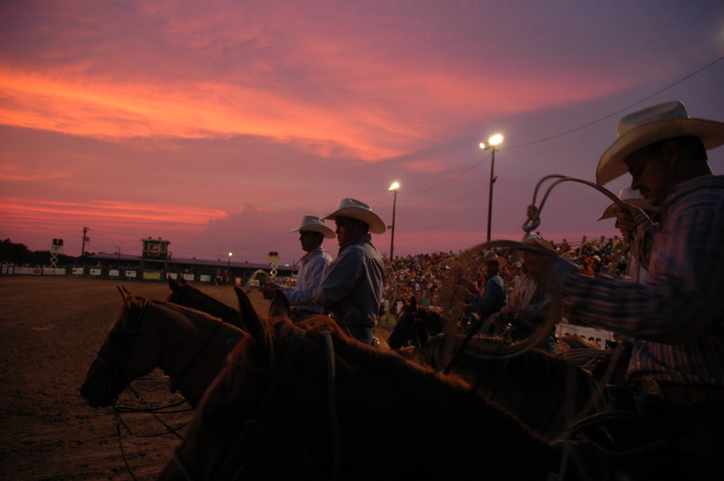 Horses and riders at a rodeo at dusk