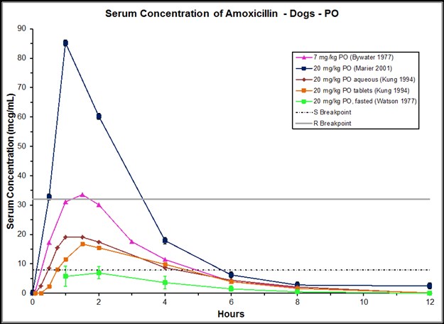 what is augmentin used for in dogs