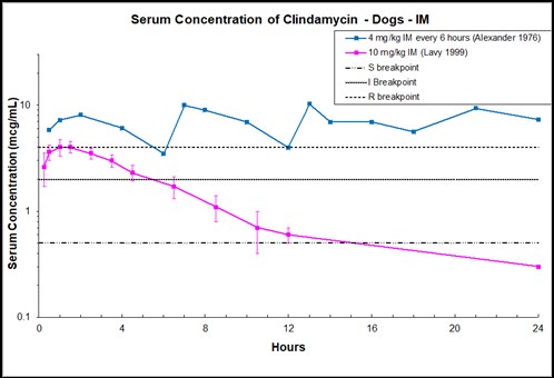 can you give a dog clindamycin