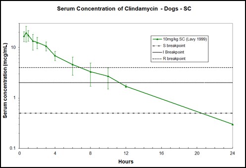 Clindamycin in Dogs - Antimicrobials