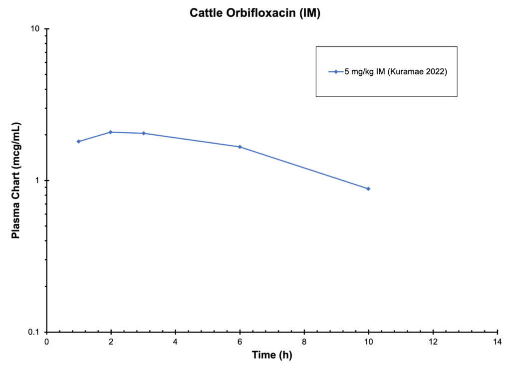 Cattle Orbifloxacin (IM) - Plasma Conc