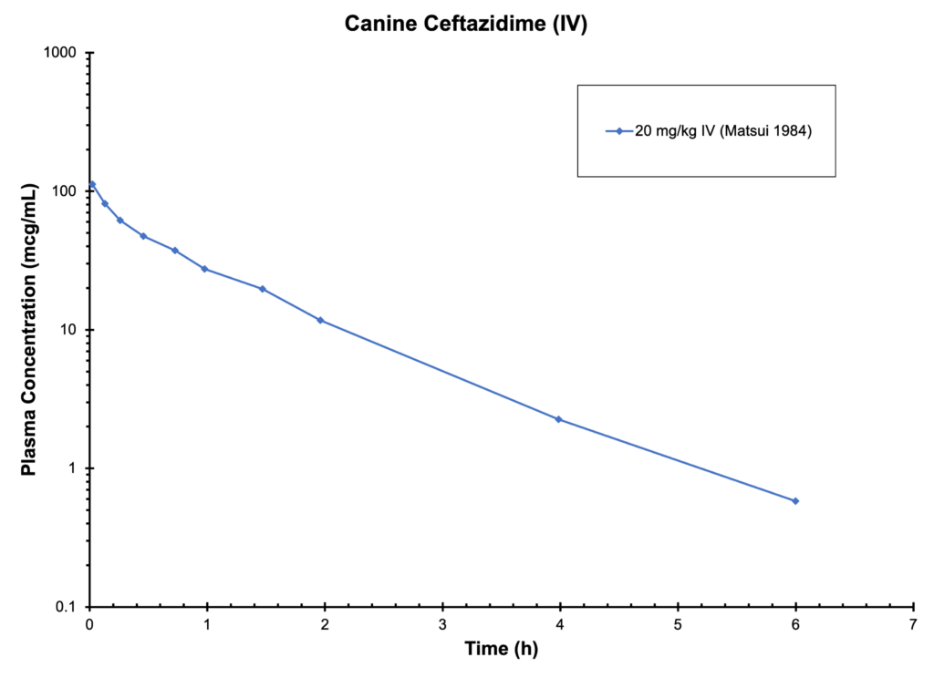 Canine CEFTAZIDIME (IV)