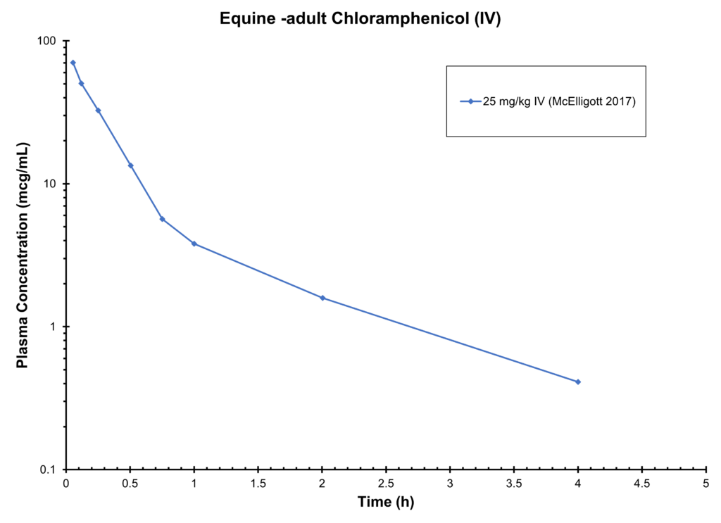 Equine Adult Chloramphenicol