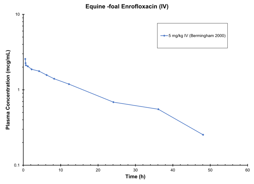 Equine Enrofloxacin